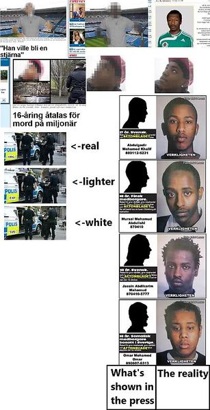 File:Whitepixelization examples.jpg